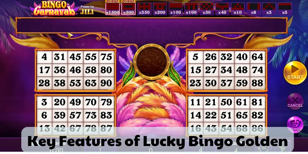 Key Features of Lucky Bingo Golden slotvip